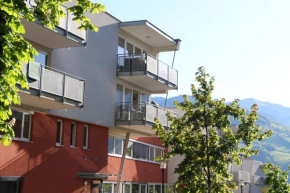 Almliesl ZELL-315, Zell am See, Österreich